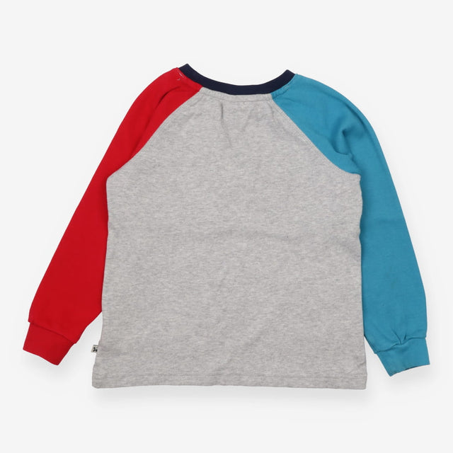 Tee Shirt Grey with One Blue and One Red Sleeve