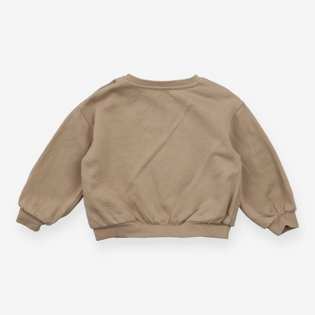Beige tracksuit skateboarding dog