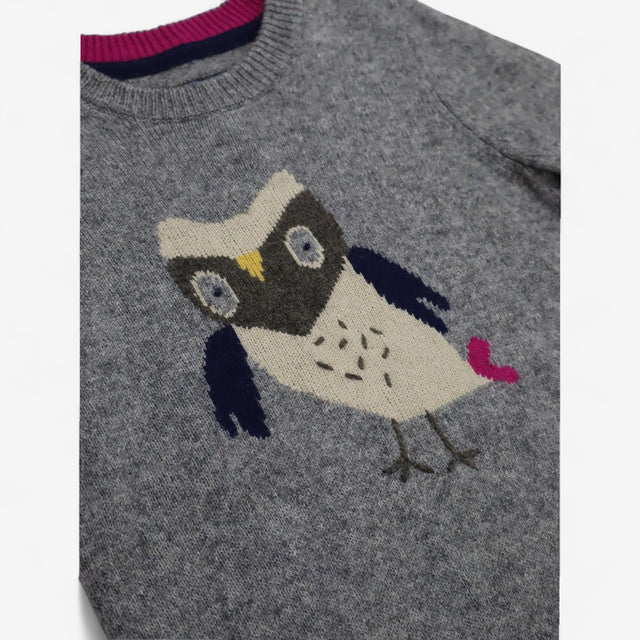 Jumper Dress Grey with Owl