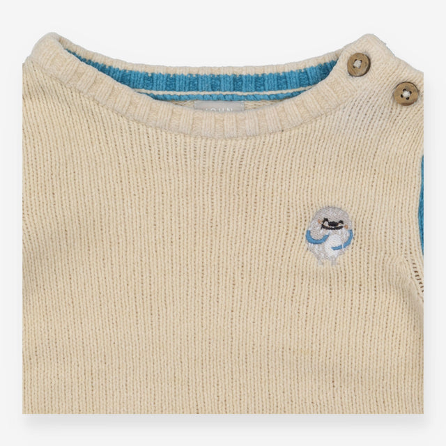Sweater Knit Cream with Brown and Blue Sleeves Slo