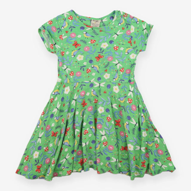 Green dress garden birds and insects