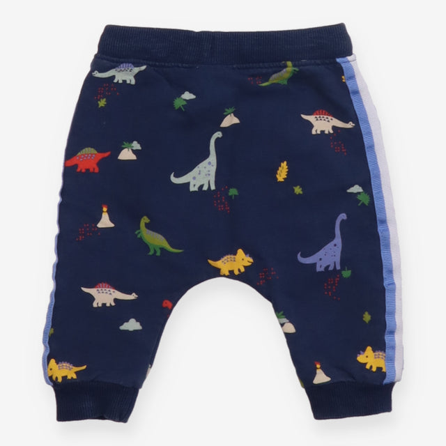 Navy Dinosaur Joggers with Side Stripe