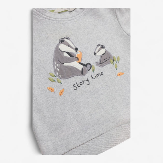 Jersey grey sweater story time badgers