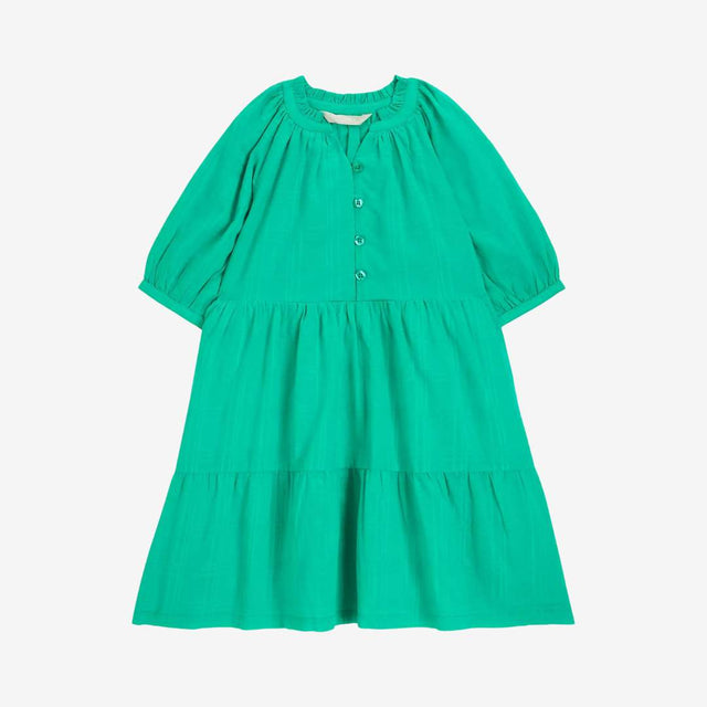 Green Button Down Check Dress