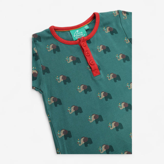 T-shirt green elephant red collar