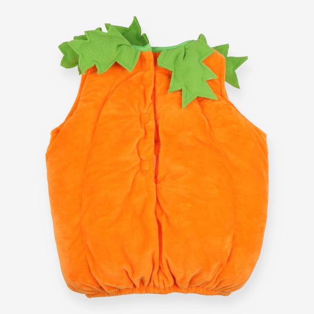 Fancy dress Pumpkin suit