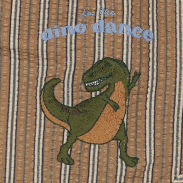 Brown striped swim shorts with dinosaur