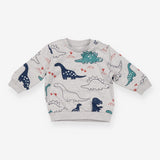 Sweater jersey grey dinosaurs