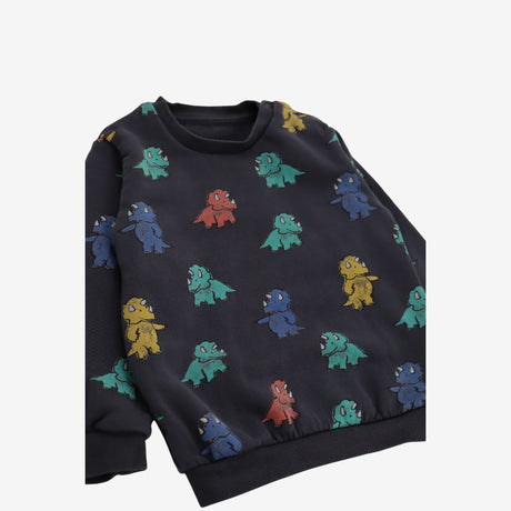 Tracksuit Grey Triceratops Print 2pcs