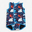 Wrap wetsuit stingray and pals