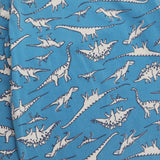 Pyjamas Blue Dinosaur