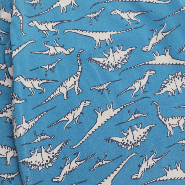 Pyjamas Blue Dinosaur