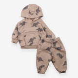 Outfit hoodies and jogger brown dinosaurs