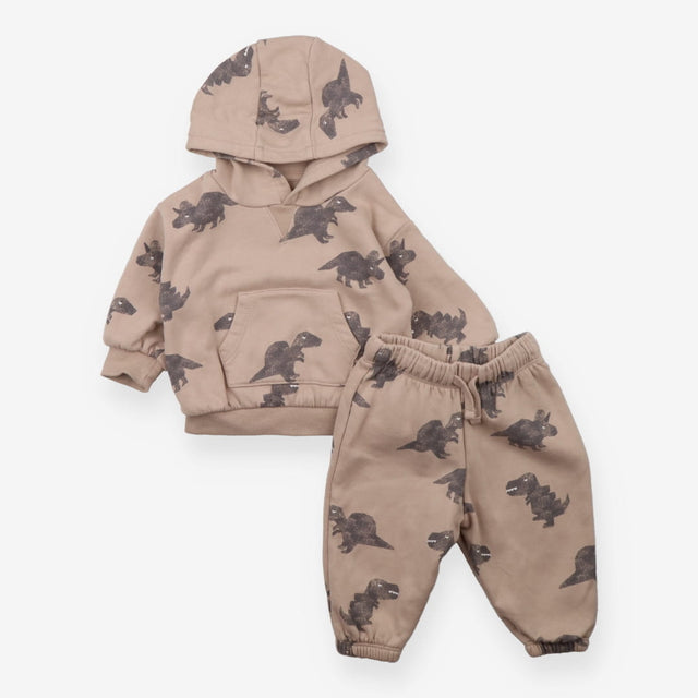 Outfit hoodies and jogger brown dinosaurs
