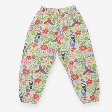 Joggers tropical birds