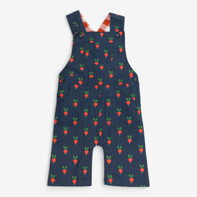 Blue Woven Radish Dungaree Check Lined