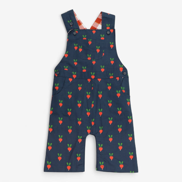 Blue Woven Radish Dungaree Check Lined