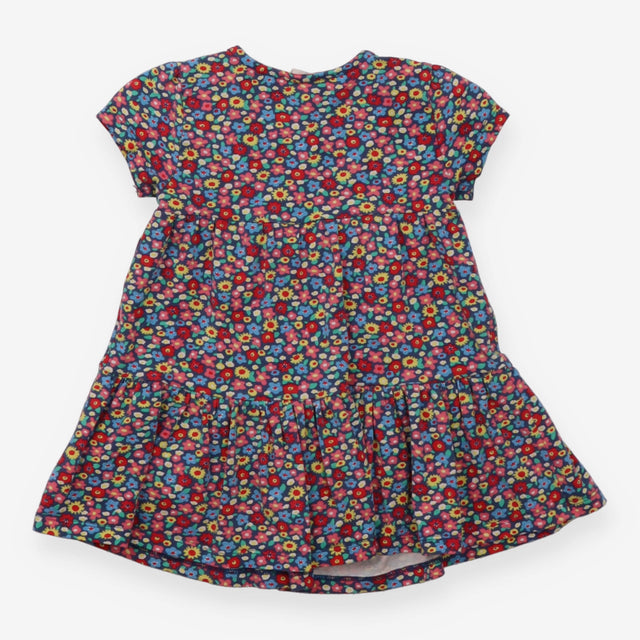 Blue Dress with Colourful Flowers