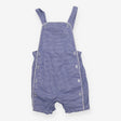 Dungarees Blue Gingham