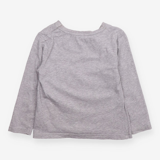 T-shirt long sleeve grey dinosaur