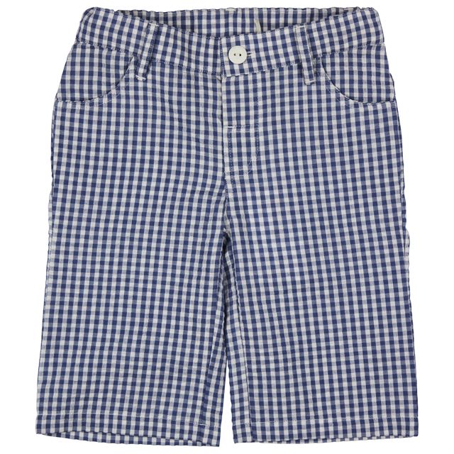 Long Shorts Blue Gingham