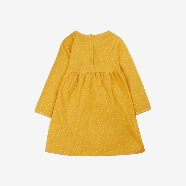 Dolcie dress jurassic coast