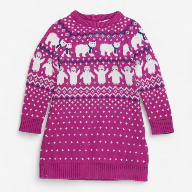 Purple Knit Dress with Polar Bears