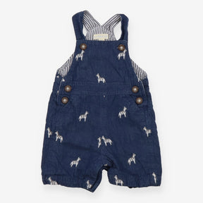 Blue Zebra Dungarees Striped Lined
