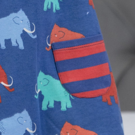 Mammoth reversible dress