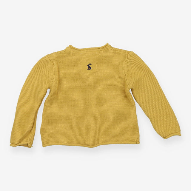Cardigan Yellow knit dogs