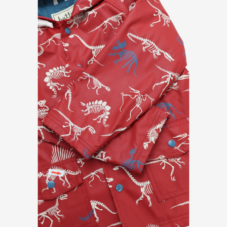 Red coat dinosaur skeletons