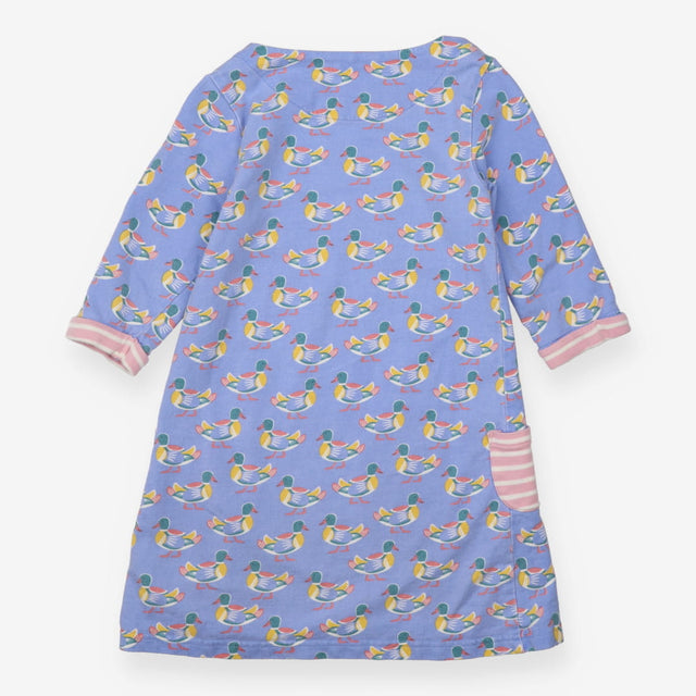 Blue Ducks Dress with Stripe Lining