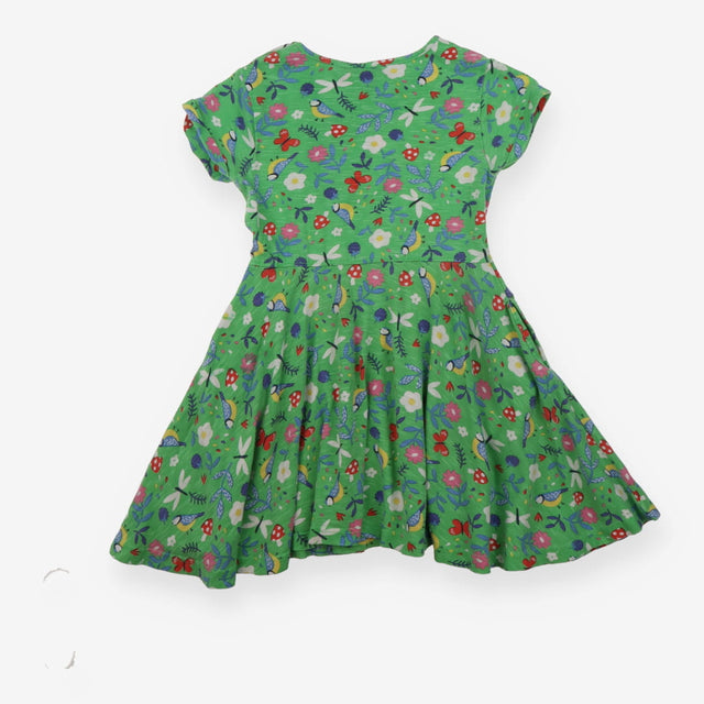 Green dress garden birds and insects