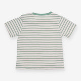 Green Striped Dinosaur T-shirt