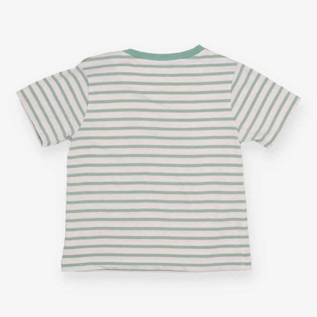 Green Striped Dinosaur T-shirt