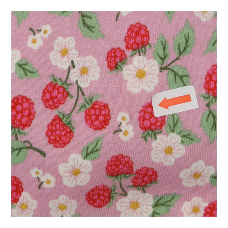 Dress Long Sleeve Pink - Raspberry Bush