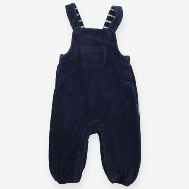 Dungarees Velour Cord Blue