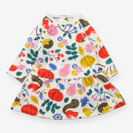 Dress Long Sleeve Pumpkin Patch