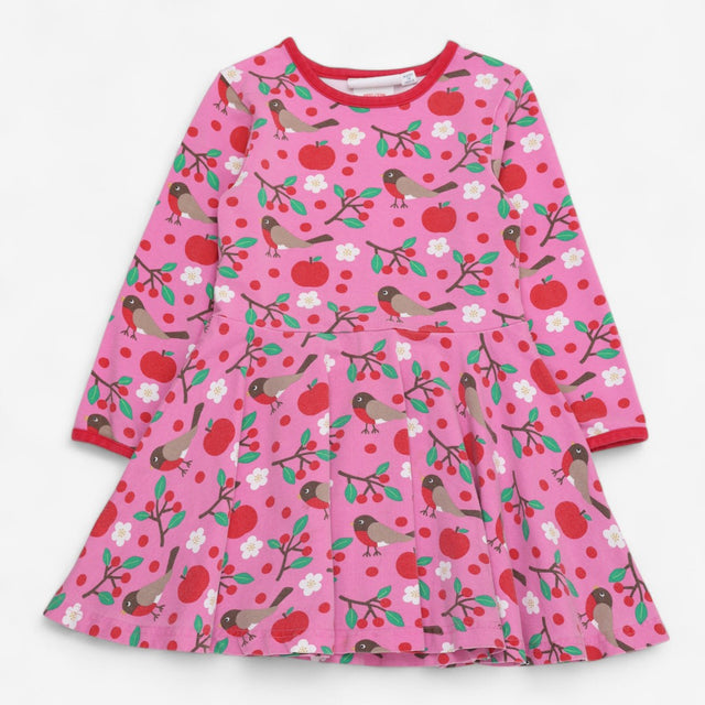 Dress Jersey Long Sleeve Pink with Robins