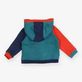 Hoodie Green, Navy and Red with Dinosaur Applique