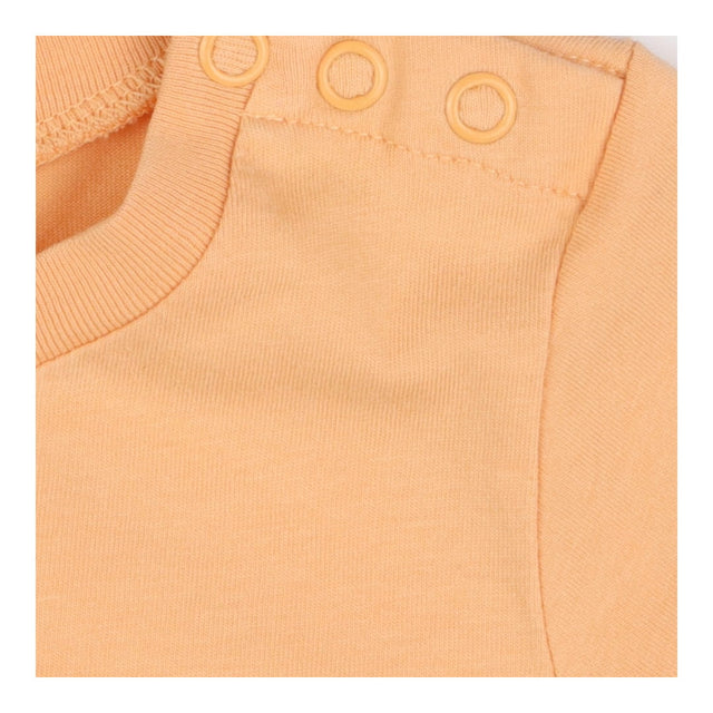 T-shirt Orange Seagull High top Print