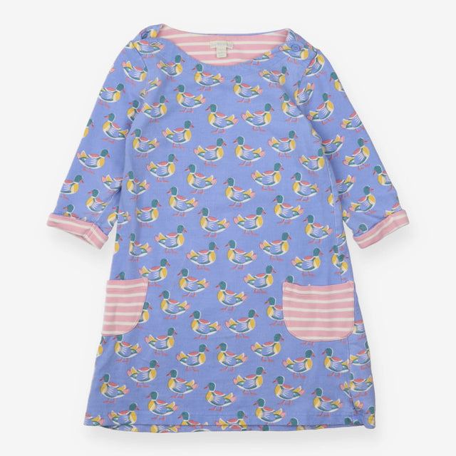 Blue Ducks Dress with Stripe Lining