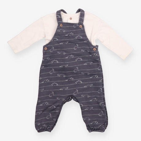 Grey Dinosaur Dungarees with Long Sleeve