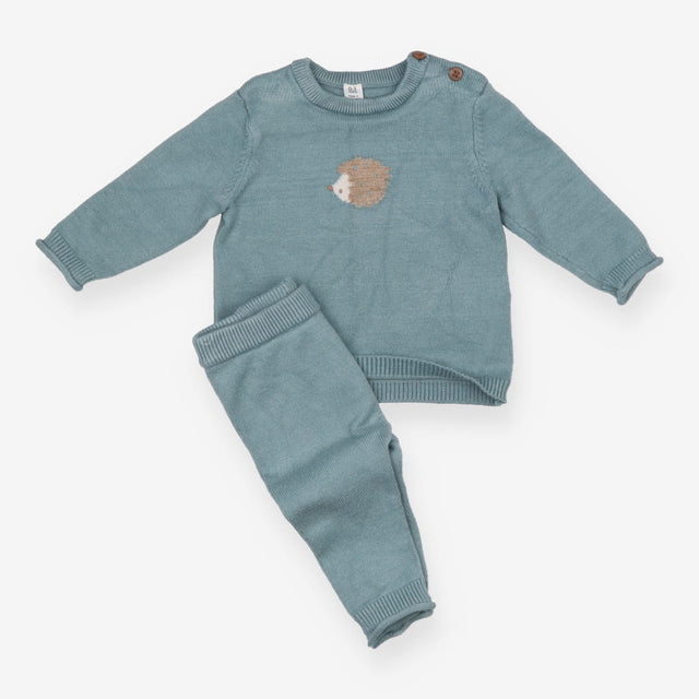 Outfit blue knit hedgehog