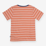 T-shirt pink and white stripe dinosaur fossils