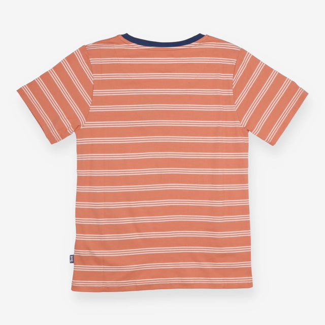 T-shirt pink and white stripe dinosaur fossils