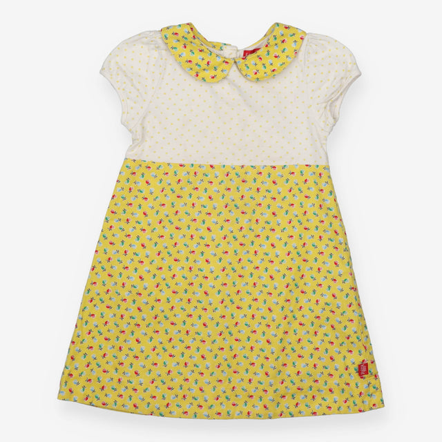 Dress collar white and yellow spots floral