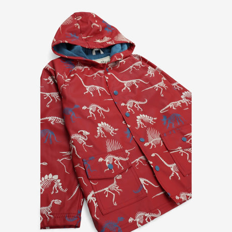 Red coat dinosaur skeletons