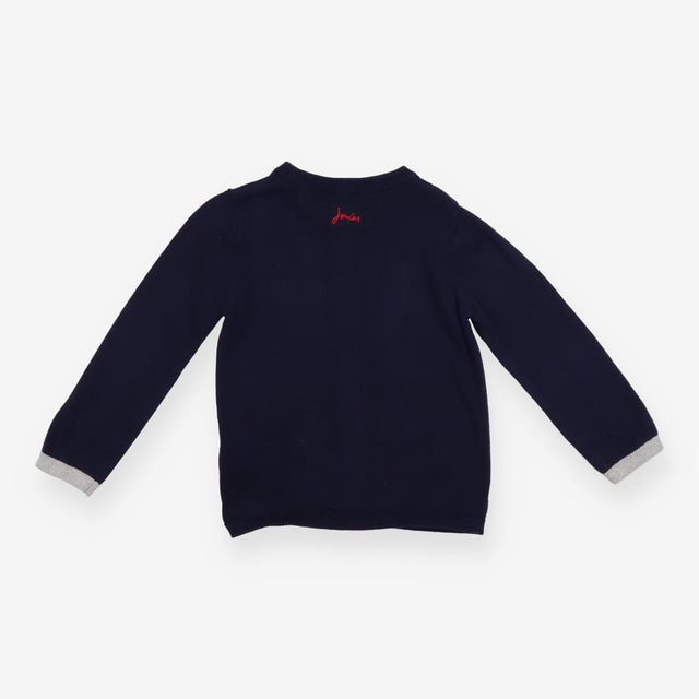 Cardigan Navy Party Dachshund Applique