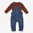 Baby Dungarees and Bodysuit Blue Soft Denim Fox